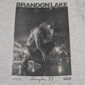 Brandon Lake Concert Merch Tear The Roof Off 2024 Tour Grey Hoodie Large Unisex